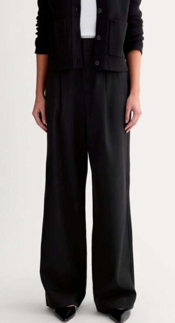Everlane The Draper Pleated Plant Size 14S NWT